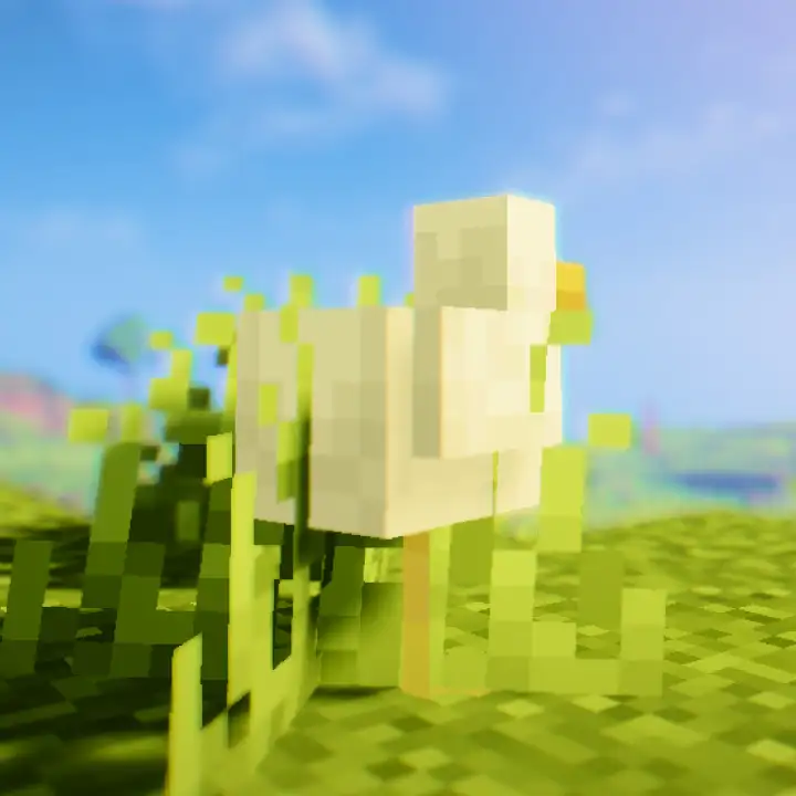 A Section Image on Moripa