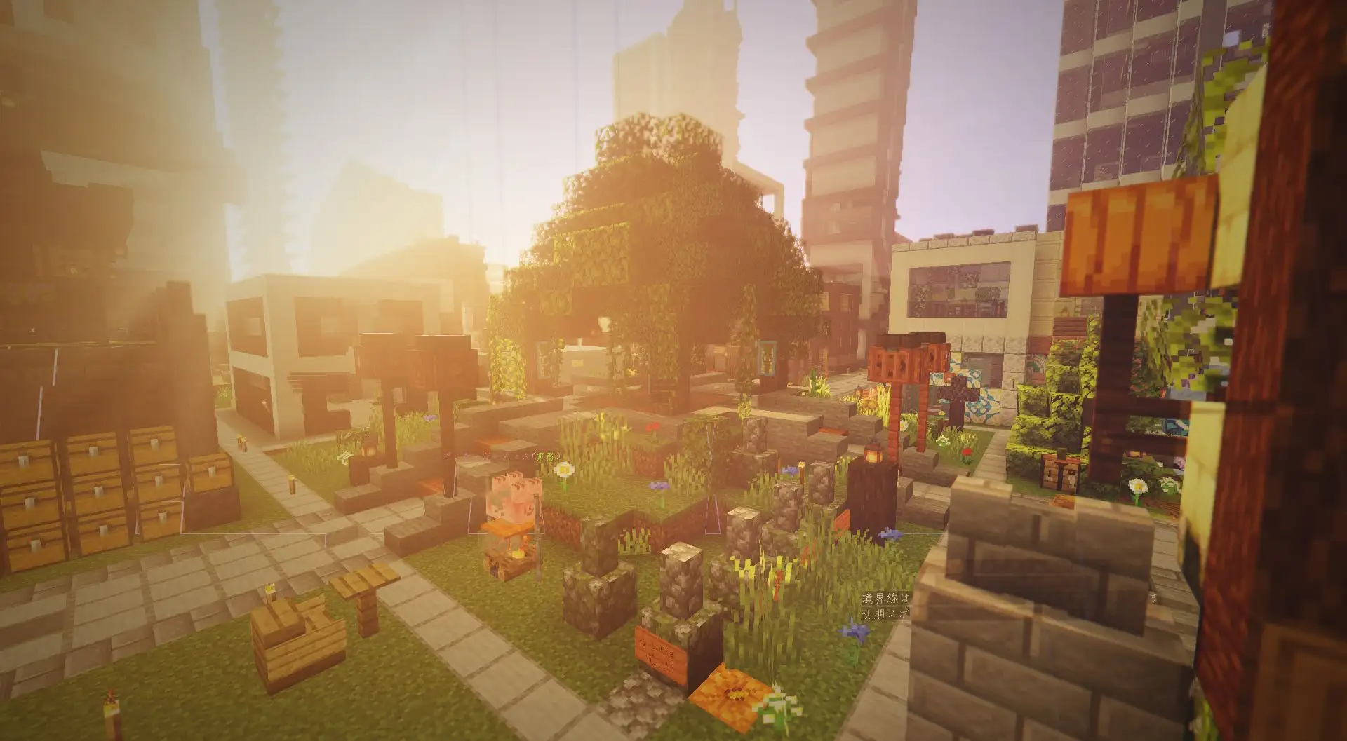 A Section Image on Moripa